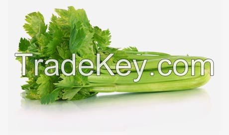 Celery