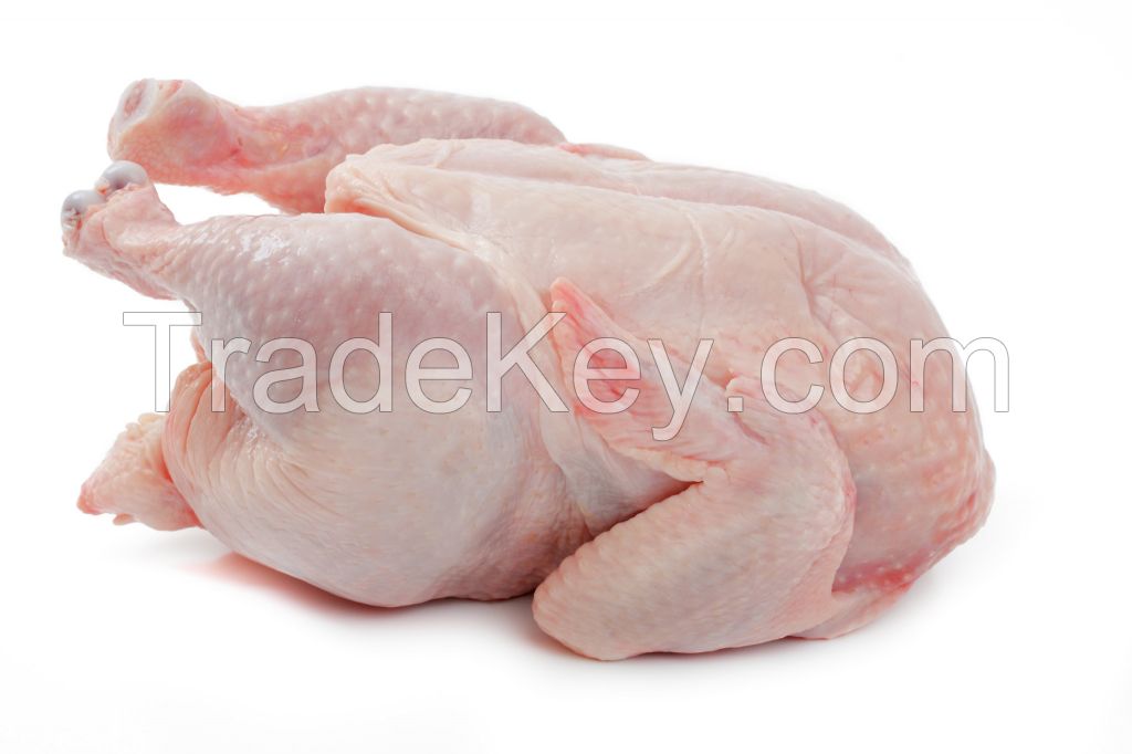 FROZEN HALAL WHOLE CHICKEN, CHICKEN FEET, PAWS, WINGS, GIZZARDS