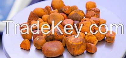 Cow Gallstone and OX Gallstones