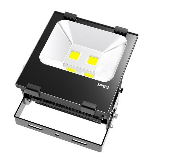 Led flood light 100w COB High quality