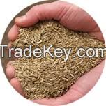 Grass Seeds