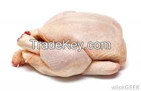 Frozen Chicken Meat