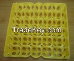 Chicken Egg Trays