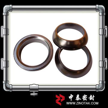 Exhaust Joint Gasket (ZT-G101)