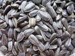 Sunflower seeds