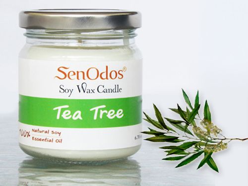 Tea Tree Soy Candle  190g /45g