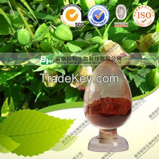 High quality Natural Epimedium brevicornum Maxim Extract--Lcariin