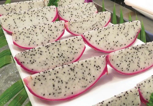 Fresh Dragon Fruit