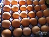 Fresh Chicken Brown & White Table Eggs