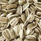 Sunflower Seeds