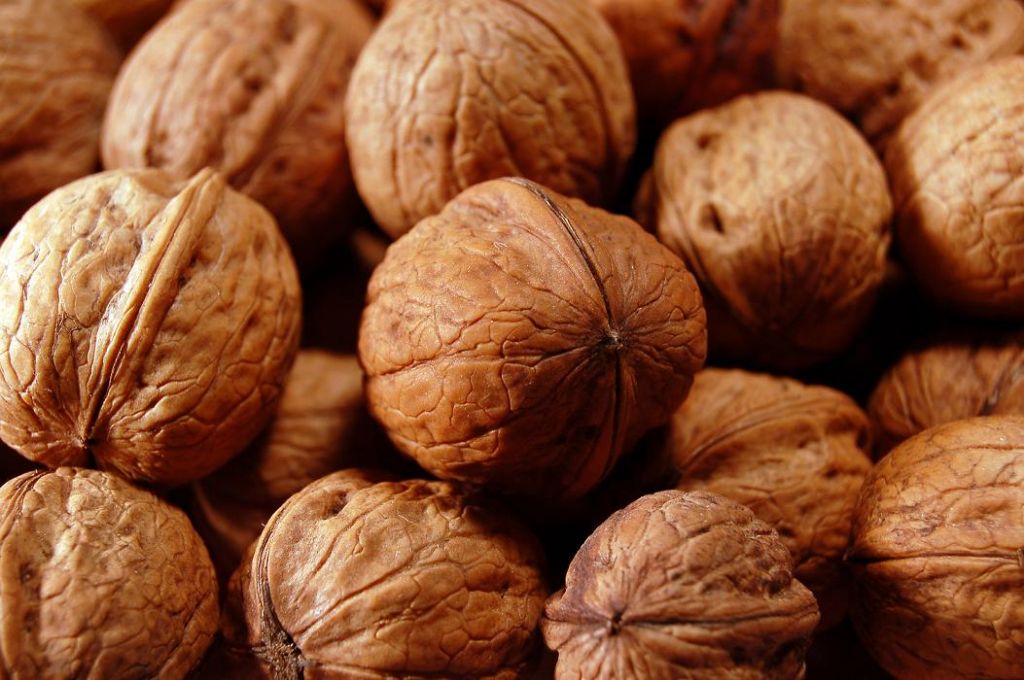 walnut