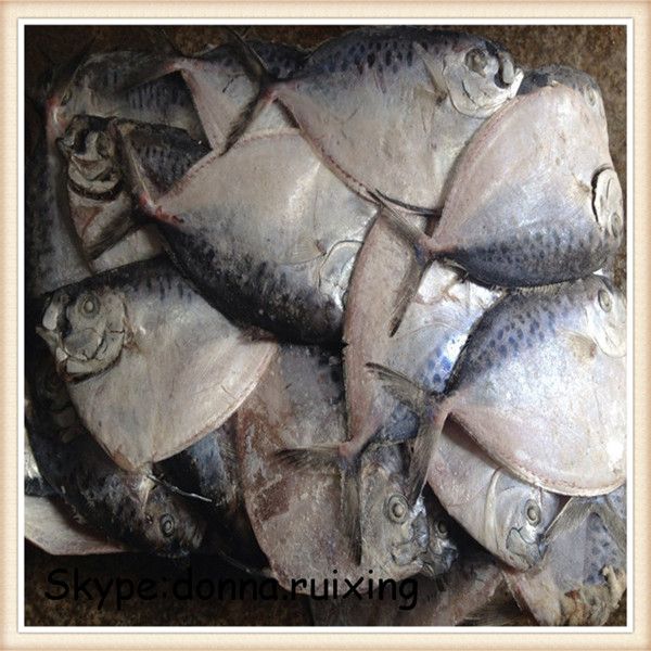 frozen moonfish whole round mene maculata