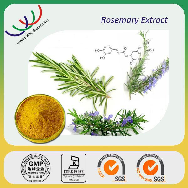 free sample HACCP KOSHER hunan changsha manufacturer ursolic carnosic rosemarinic rosemary extract