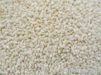 Hulled White Sesame