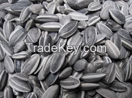 Sunflower Seeds - High Quality Grade A