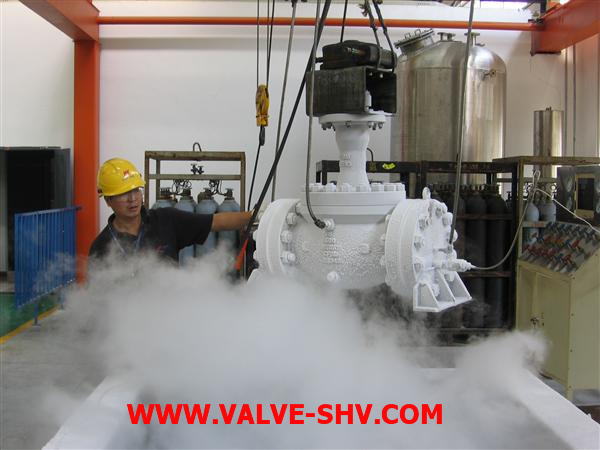 Cryogenic Ball Valve