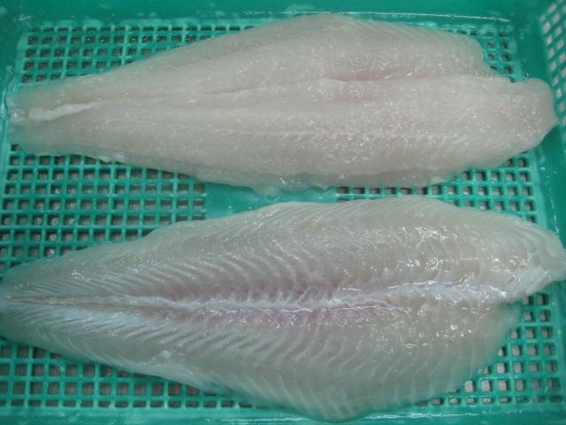 PANGASIUS FILLET