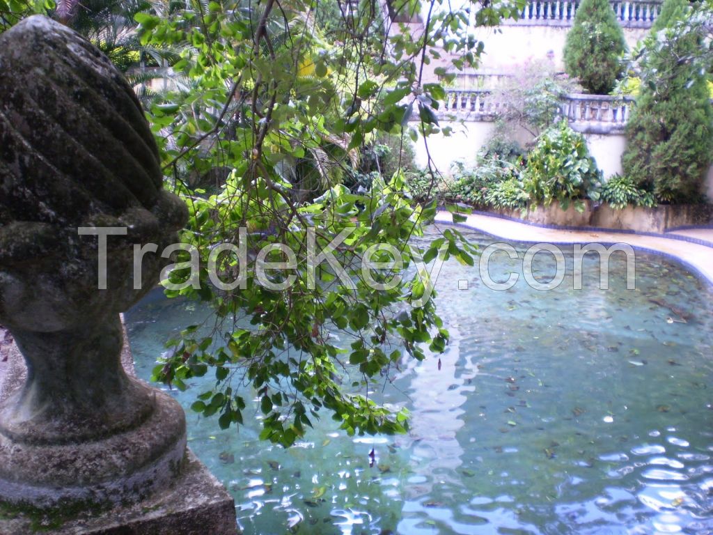 Mineral Water Farm in Brazil cristal clear water source