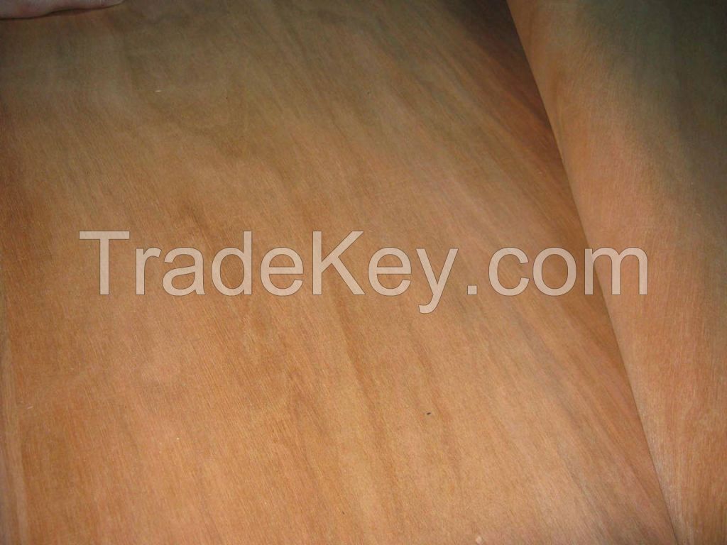 supply Bintangor veneer