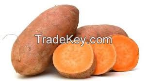 sweet potatoes