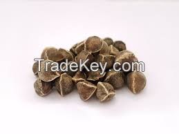 Moringa Seed