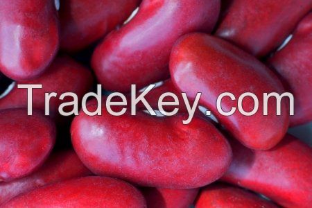 ORGANIC KIDNEY BEANS