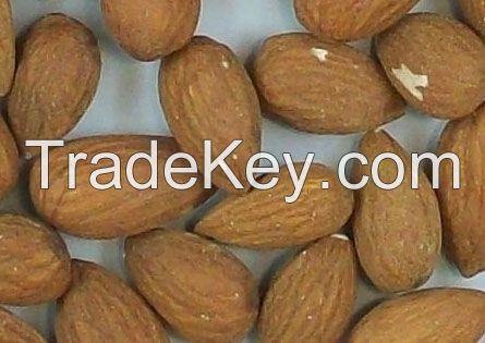 ALMONDS NUT/PEANUTS/CASHEW NUTS/PISTACHIO NUTS