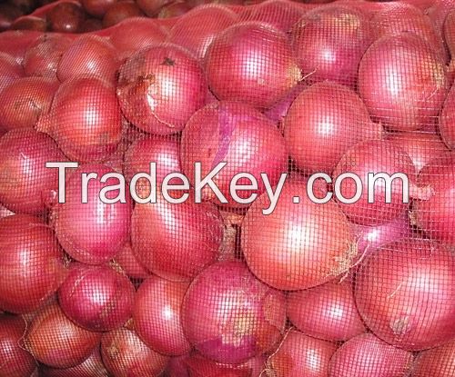 FRESH RED ONIONS/TOMATOES/CARROTS