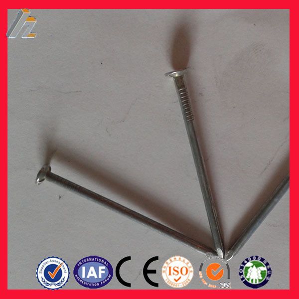 China ISO factory Common Nail/ Wire Nails/ Umbrella Roofing Nail