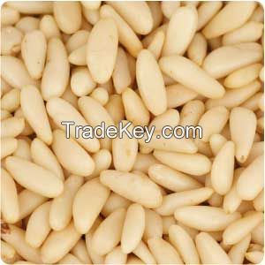 High Quality Guaranteed Pine Nut Kernels with OEM Service