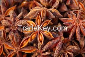 Star Aniseed