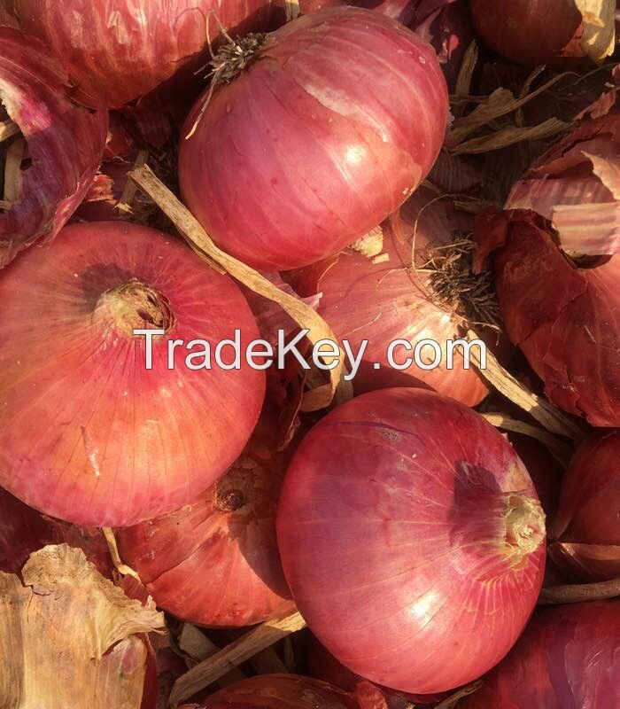 red onion