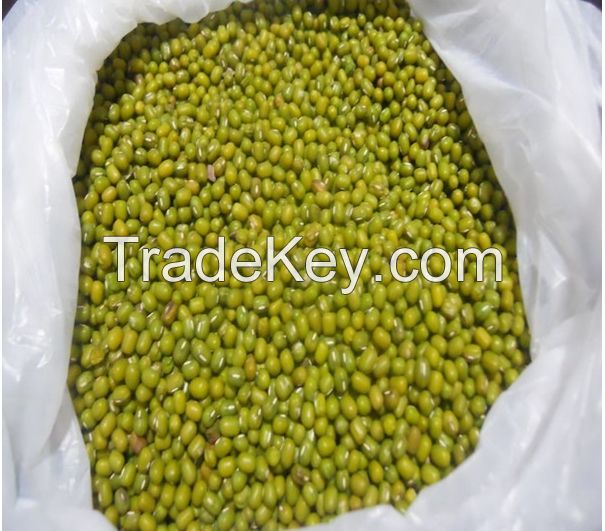 Green Mung Bean/Green Gram/Moong Dal