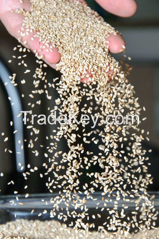 Sell White Sesame Seeds