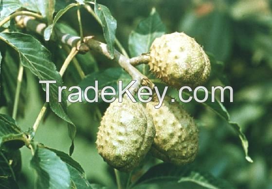 Horse chestnut extract