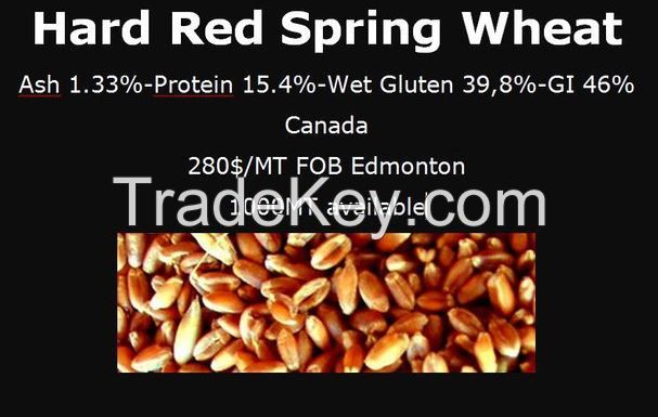 Red Hard Spring Wheat from Canada