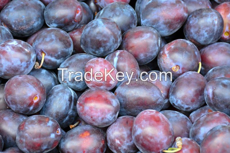 fresh plums