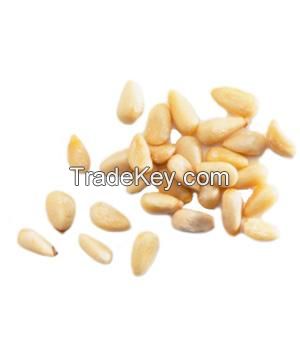 Pine Nuts