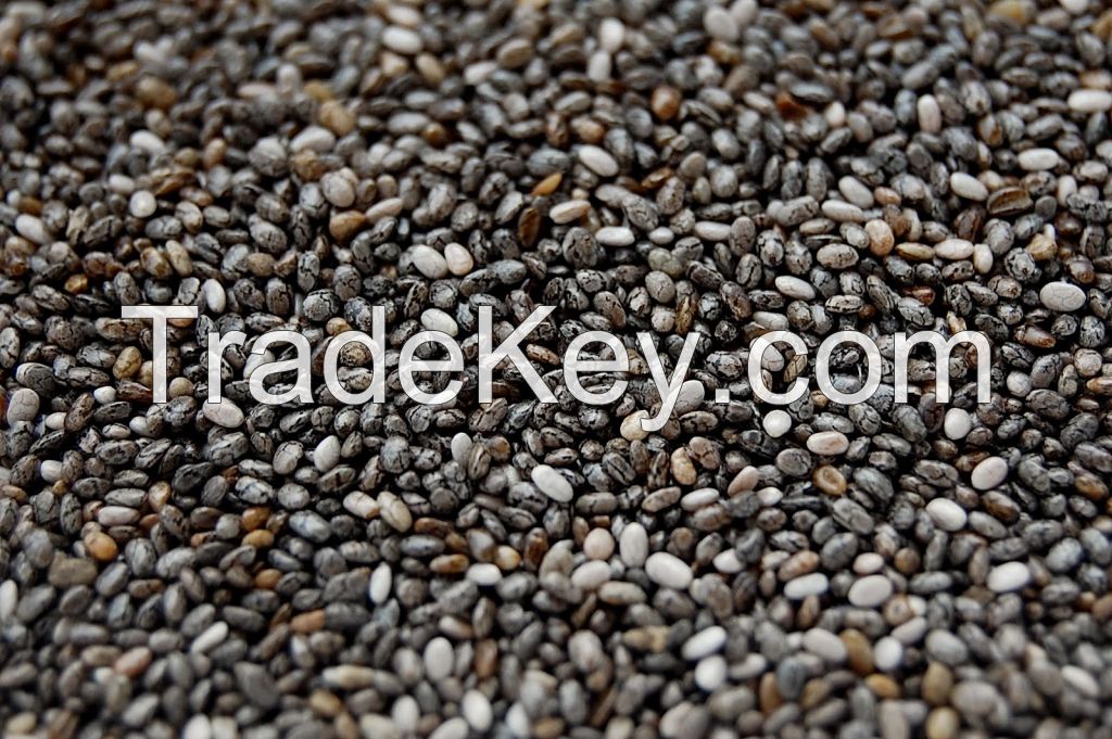 Sell Black Chia Seeds