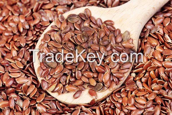 Best Quality Flax Seeds Wholesale Supplier