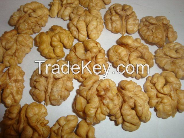 Walnut & Walnut Kernel