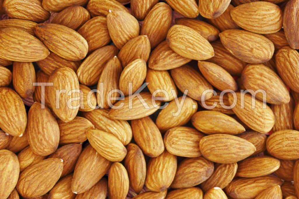 Wholesale Price Raw Almonds Available in large Stock