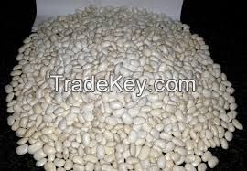 Sell White Kidney Bean