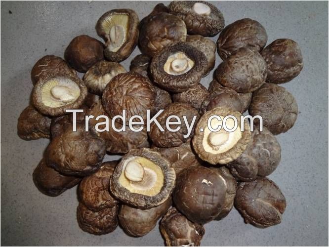 Dried Shiitake Mushrooms