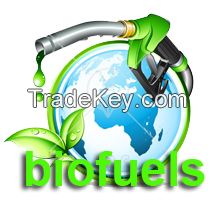 Sell Biodiesel