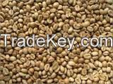 Robusta Coffee Beans