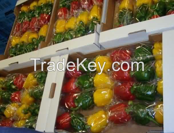 Sell Capsicum