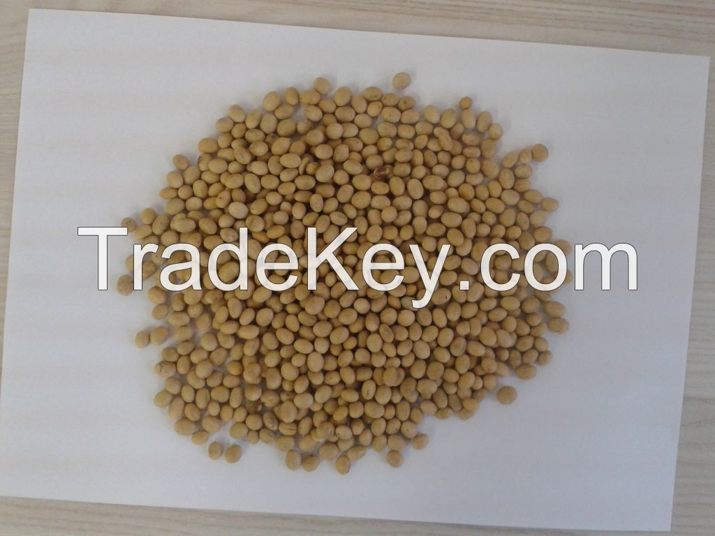 soybeans