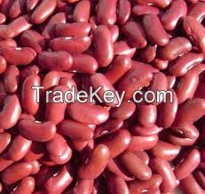 Kidney Beans