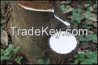 Natural Latex Rubber HA/LA 60%DRC HIGH QUALITY